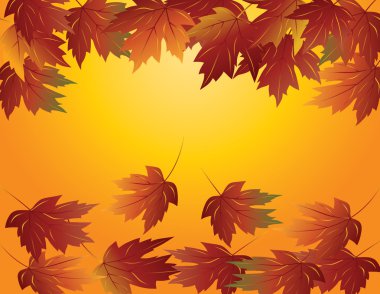 Maple Leaves in Fall Illustration clipart