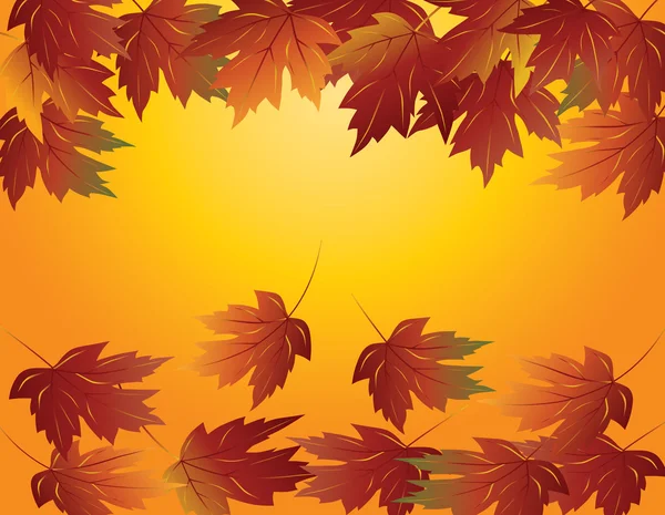 Maple Leaves in Fall Illustration — Stock Vector