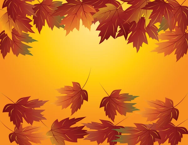 Maple Leaves in Fall Illustration Vector Graphics