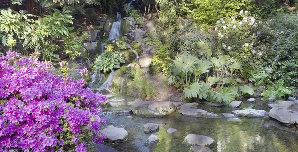 Vattenfall på crystal springs rhododendron trädgård — Stockfoto
