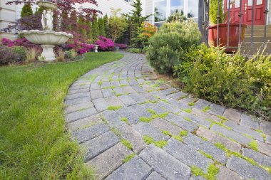 Frontyard Cement Stone Paver Path clipart