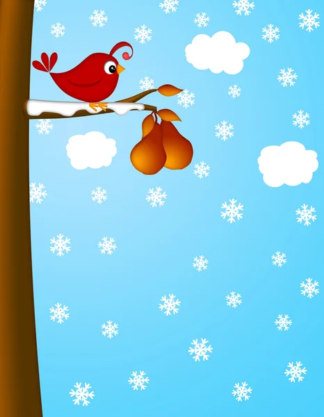 Рождественская куропатка на зимней сцене Pear Tree — стоковое фото