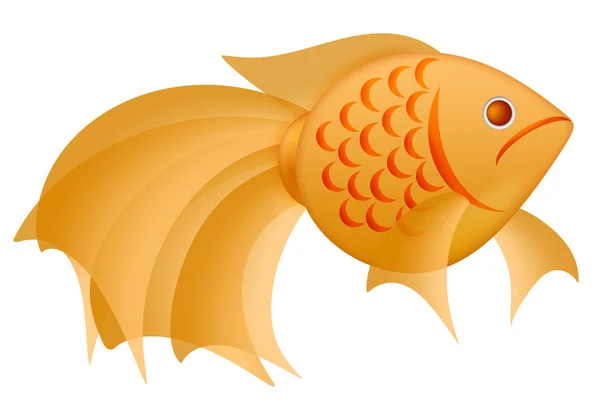 Ilustración de lujo Goldfish aislado en blanco — Foto de Stock