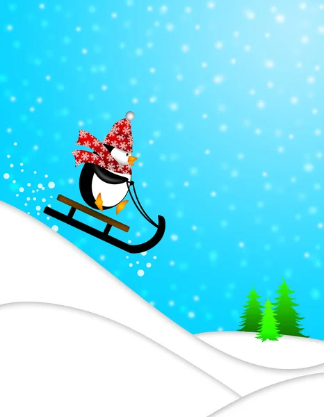 可爱的企鹅上雪橇下山图 — 图库照片