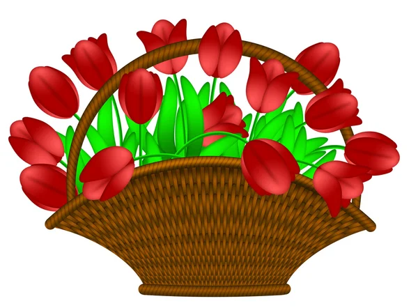 赤いチューリップ花のイラストのバスケット — ストック写真