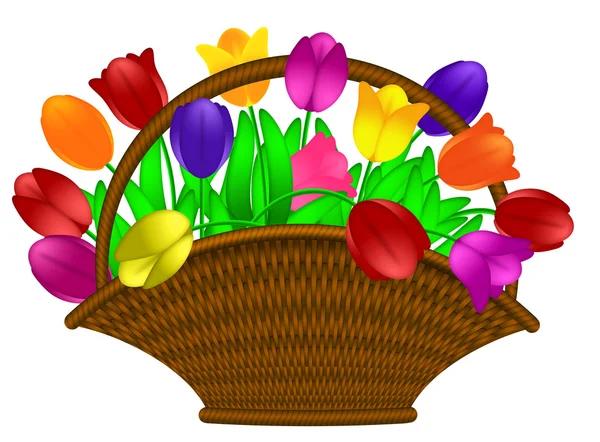 Cesta de tulipanes coloridos Flores Ilustración —  Fotos de Stock