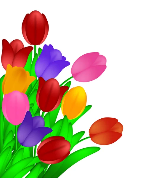 Beyaz arka plan üzerinde renkli Lale çiçek demet izole — Stok fotoğraf