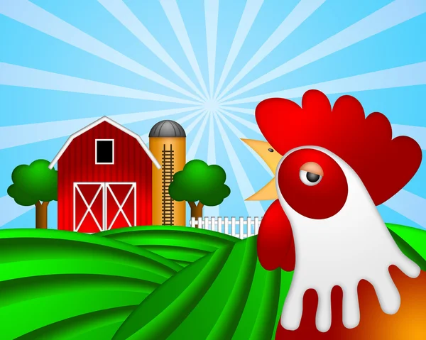 Петух на зеленом пастбище с красным амбаром с зерновым элеватором — стоковое фото