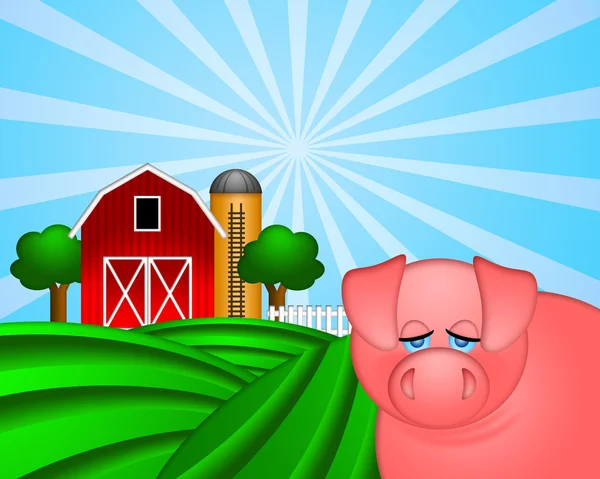 Pig on Green Pasture with Red Barn with Grain Silo — Stock Photo, Image