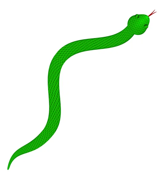 Serpiente verde con escamas Ilustración —  Fotos de Stock