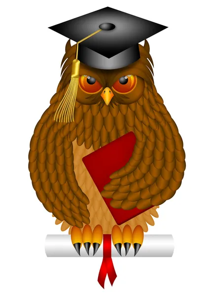 Мудрая старая сова с дипломной шапкой и дипломной иллюстрацией — стоковое фото