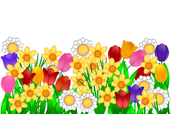Ilustración de flores de primavera —  Fotos de Stock
