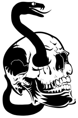 Skull with Snake Clip Art clipart