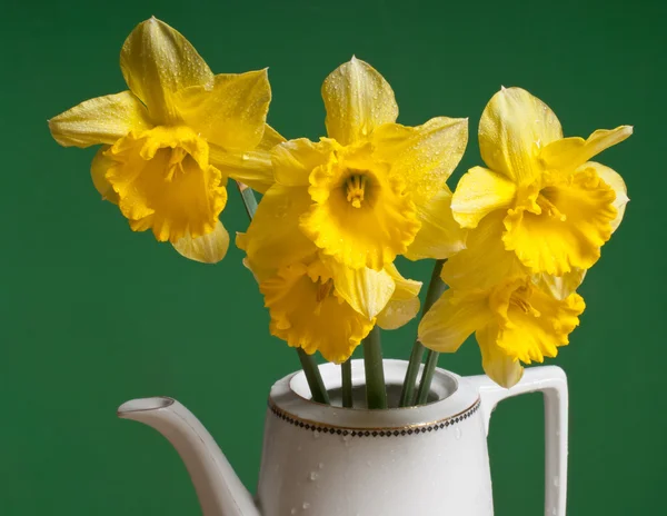 Narcissi in vase — Stock Photo, Image