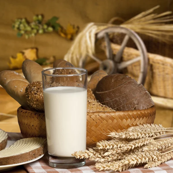 stock image Still life with milk