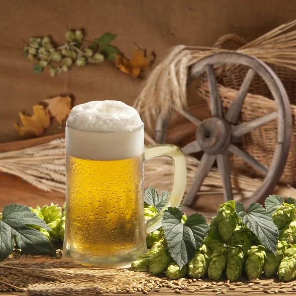 Bira ile natürmort — Stok fotoğraf