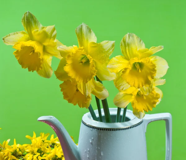 Narcisů v váza — Stock fotografie
