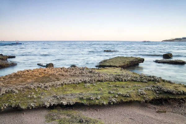 Риф во время отлива в Красном море — стоковое фото