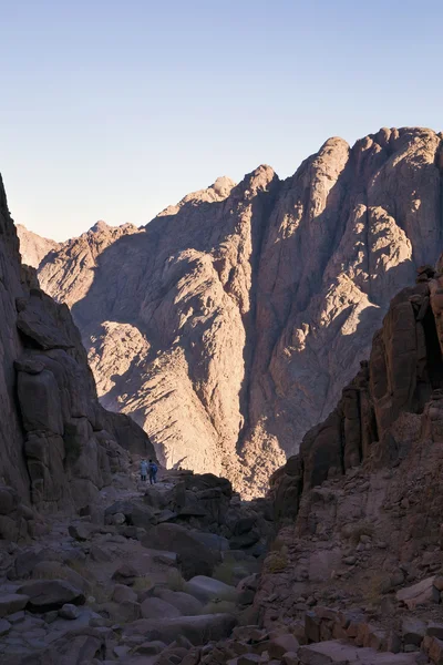 Pilgrimme i Sinai-bjergene tæt på St Catherine 's Kloster - Stock-foto