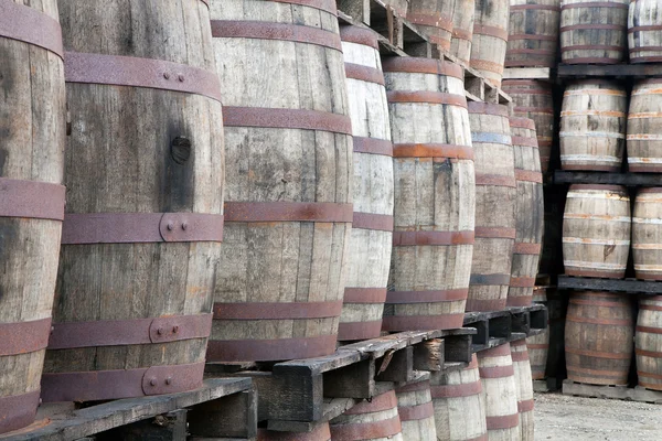 Whisky dřevěné sudy — Stock fotografie