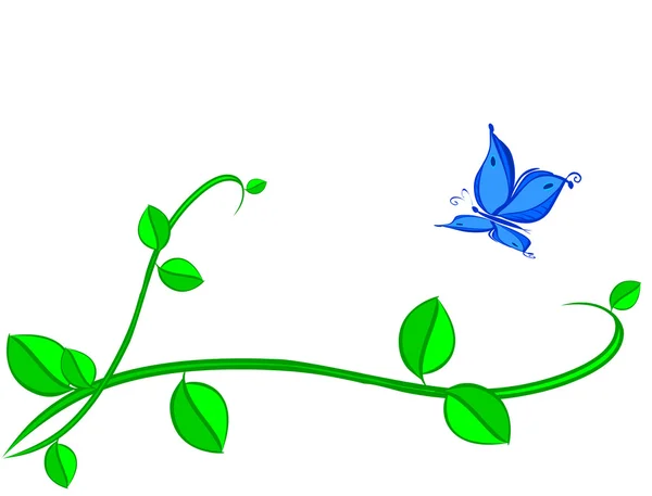 Mariposa azul en planta — Foto de Stock