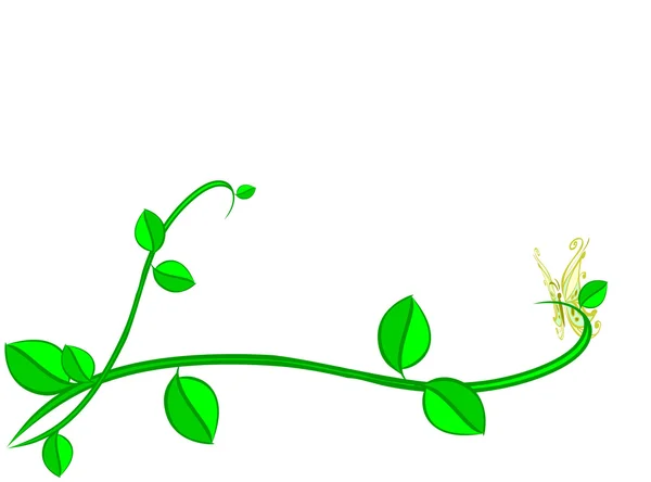 Buttarfly auf Pflanze — Stockfoto