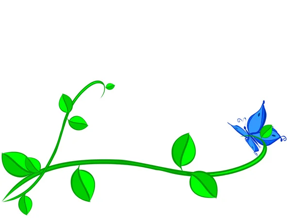 Mariposa azul en planta — Foto de Stock