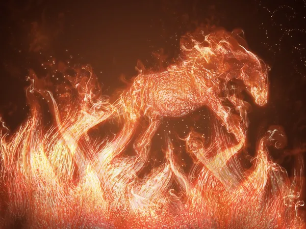 Oheň koně — Stock fotografie