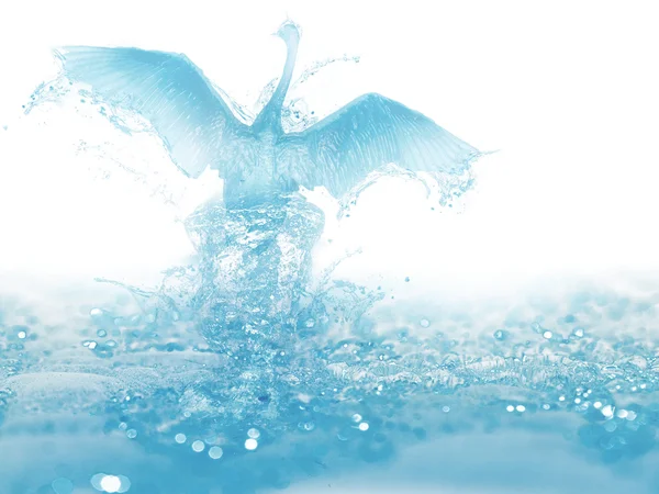 stock image Water bird