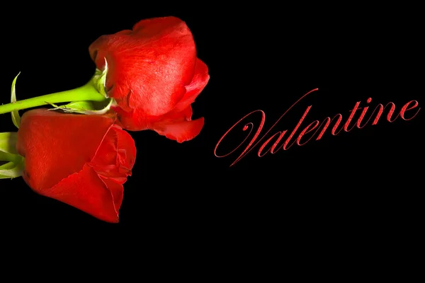 Twee rozen voor Valentijnskaart — Stockfoto