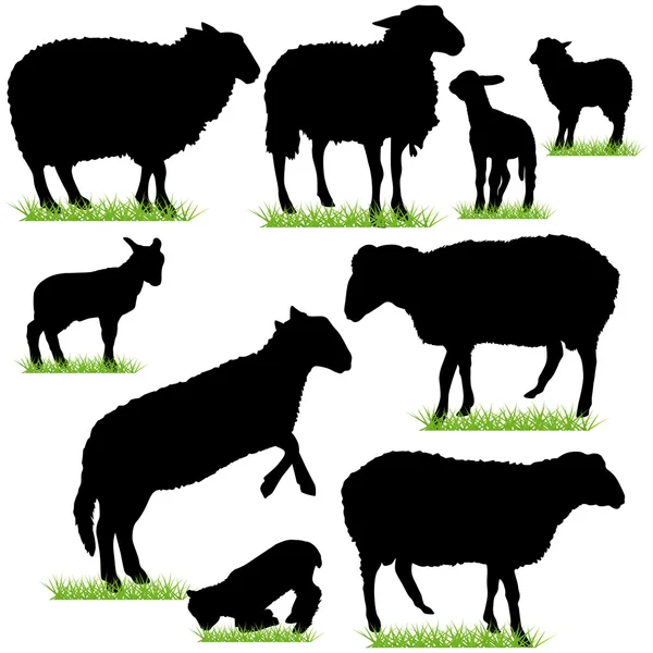 Sheep and Lambs Silhouettes Set — Stock Vector