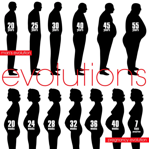 Evolución de la obesidad masculina y etapas del embarazo — Vector de stock