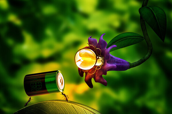 Зеленая энергия
