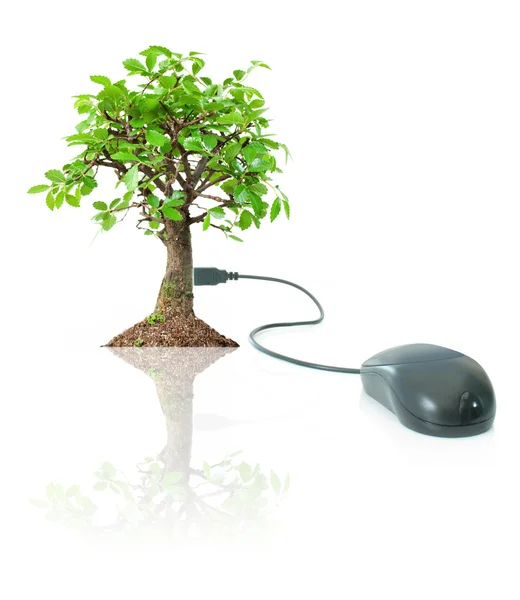 Eco-vriendelijke technologie — Stockfoto