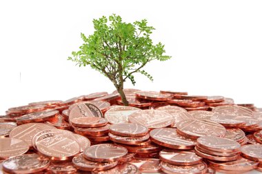 Money tree clipart