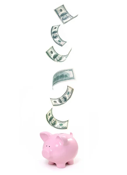 Dolar poupança porquinho banco — Fotografia de Stock