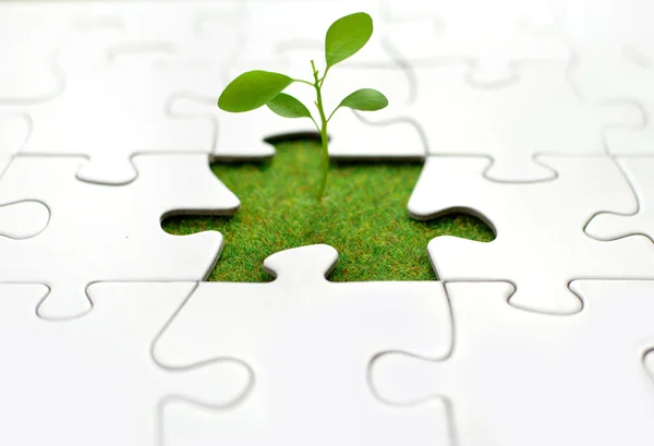 Plant jigsaw — Stock Photo, Image