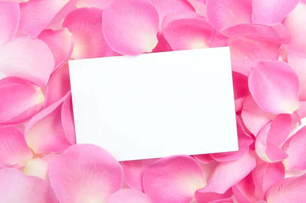 Cartão em branco com rosas — Fotografia de Stock