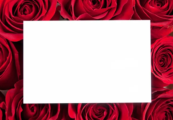 Carte blanche avec des roses rouges — Photo