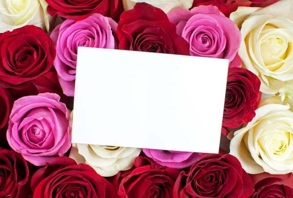 Roses with blank card — Stock Photo, Image