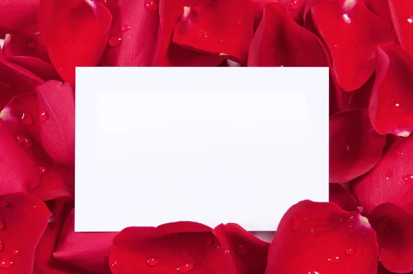 Red roses with blank card — Stock Photo, Image