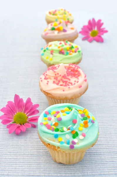 Spring cupcakes — Stock Photo, Image
