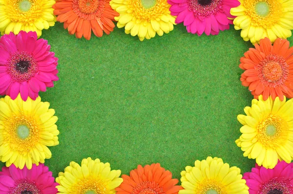 Spring flower frame — Zdjęcie stockowe