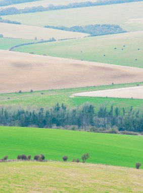 Rural England fields and farms clipart