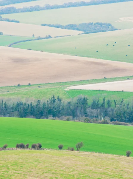 Rural england fält och gårdar — Stockfoto