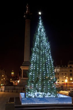 Londra'nın Trafalgar Meydanı'nda Noel ağacı