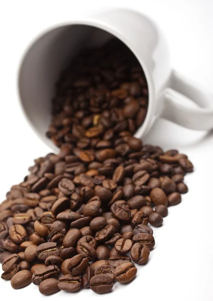 Coffee Beans and Mug — Stock Photo, Image
