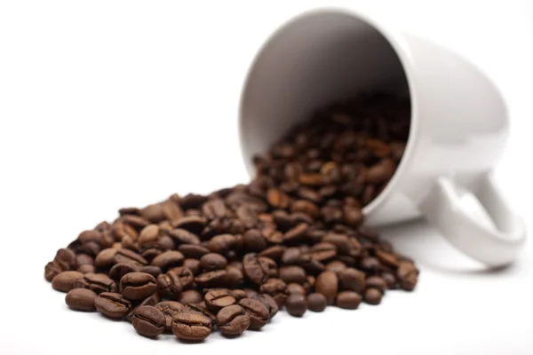 Coffee Beans and Mug — Stock Photo, Image