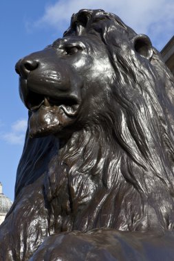 Trafalgar Meydanı aslan