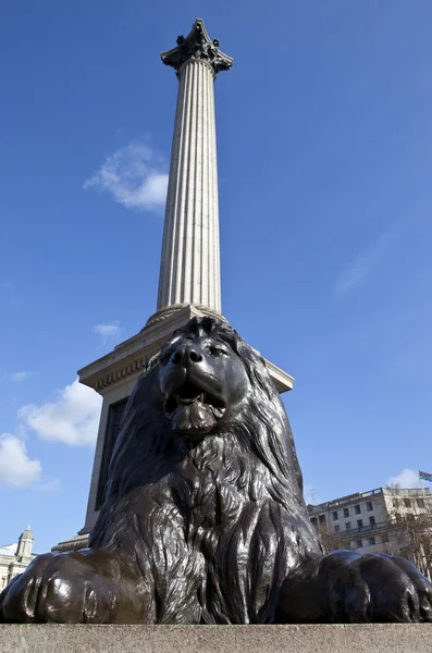 在特拉法加广场纳尔逊纪念柱和狮子雕像 — 图库照片